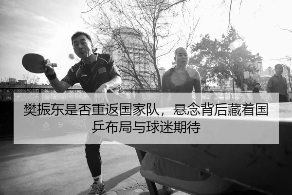 樊振东是否重返国家队，悬念背后藏着国乒布局与球迷期待 | okooo